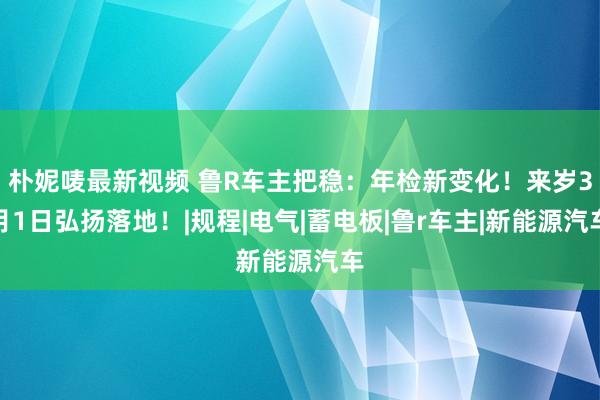 朴妮唛最新视频 鲁R车主把稳：年检新变化！来岁3月1日弘扬落地！|规程|电气|蓄电板|鲁r车主|新能源汽车